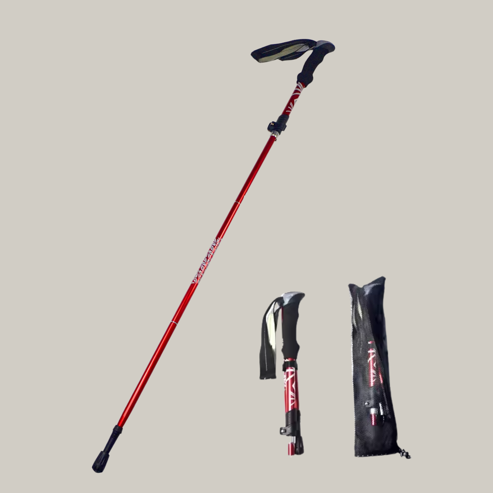 Bâtons de Randonnée