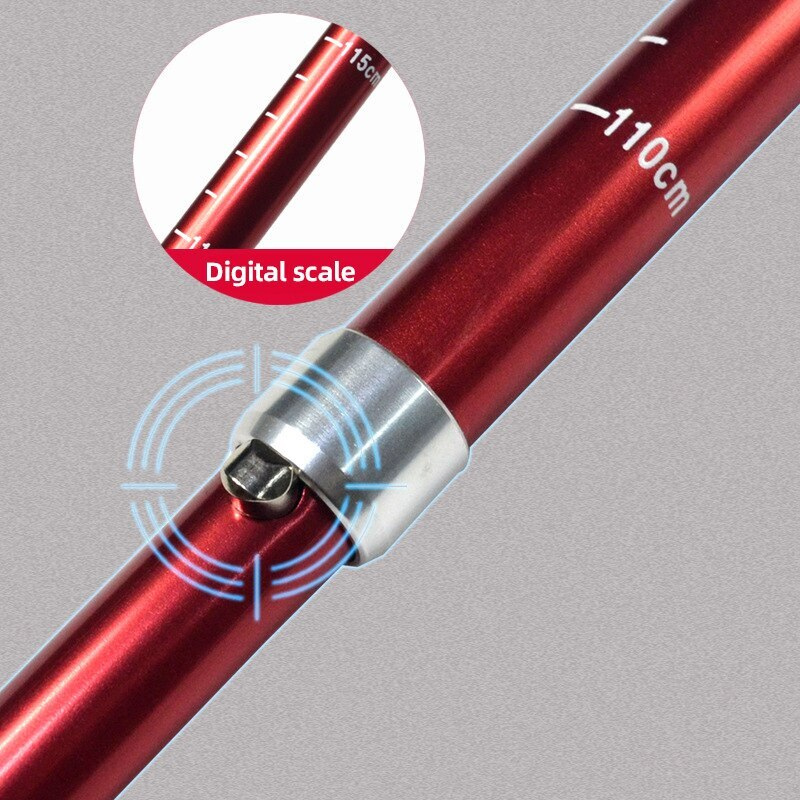 Bâton de Randonnée