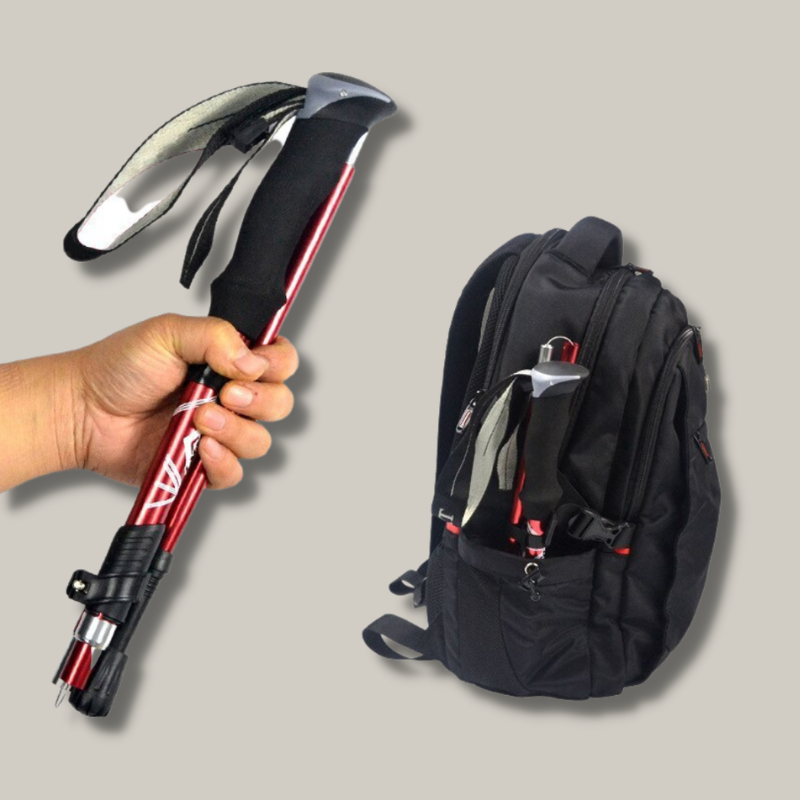 Bâton de Randonnée