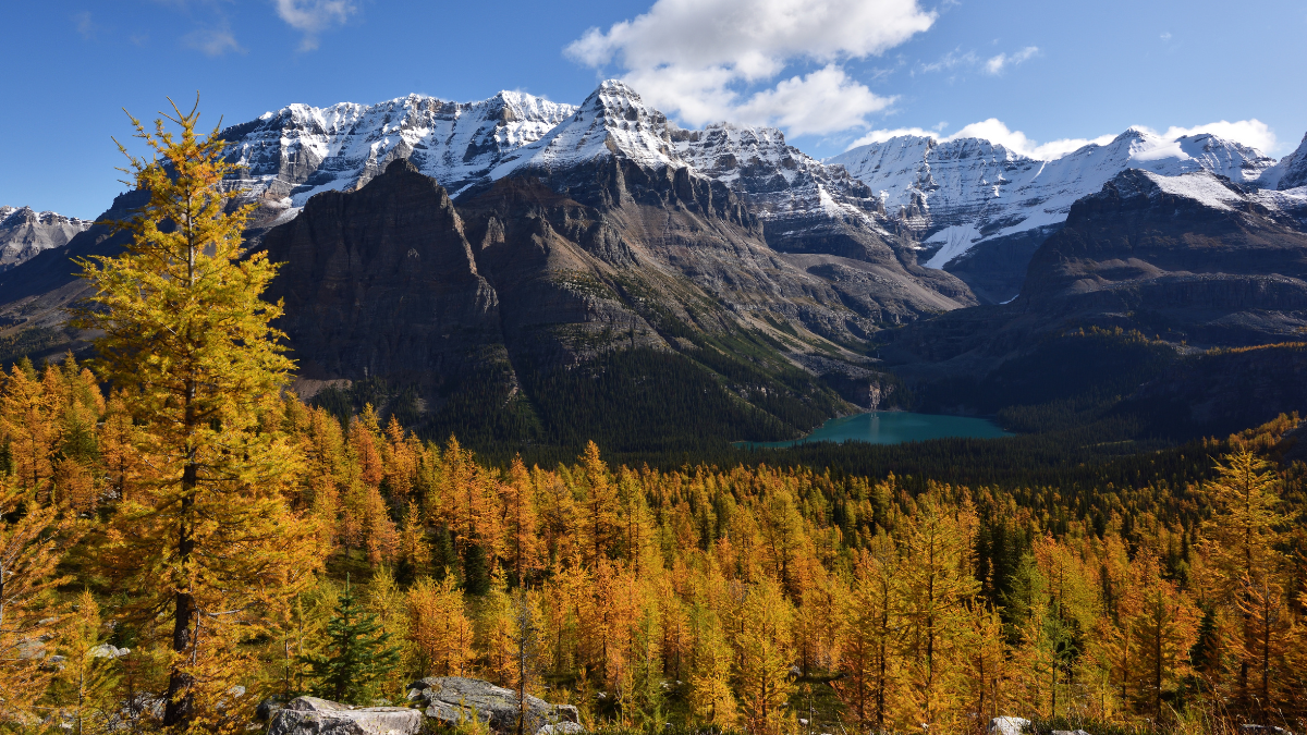 Transition vers l'Automne : Comment Adapter Son Équipement de Randonnée