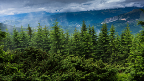 Les Meilleures Vestes Coupe-Vent 2025