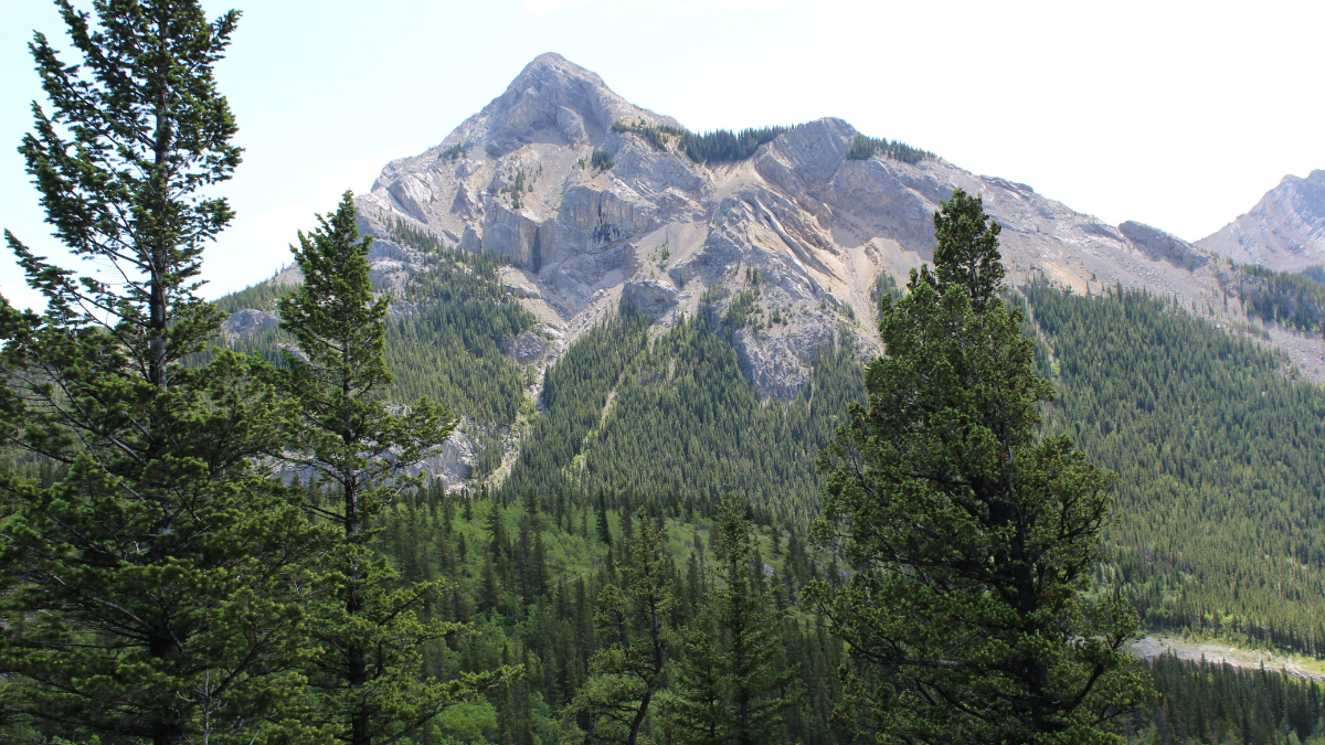 Tutos de Nœuds Utiles en Bivouac