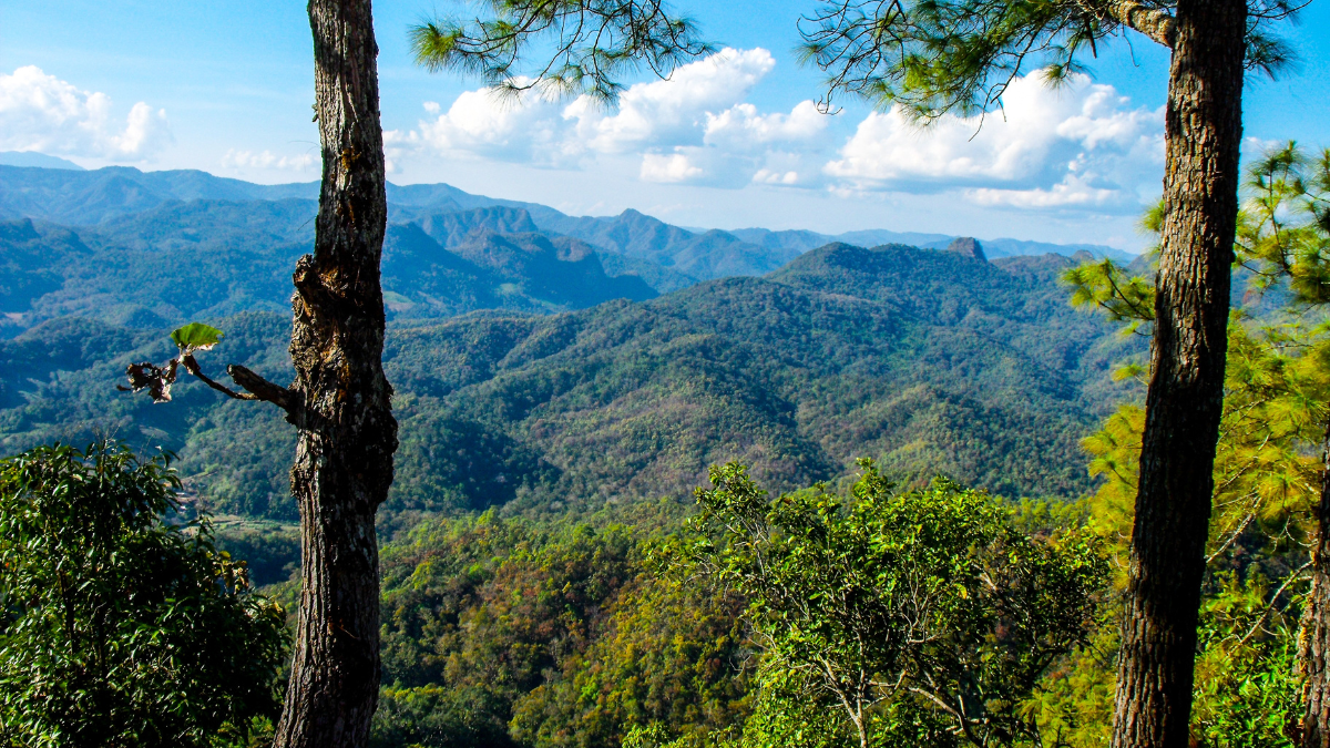 Rester actif pendant la basse saison