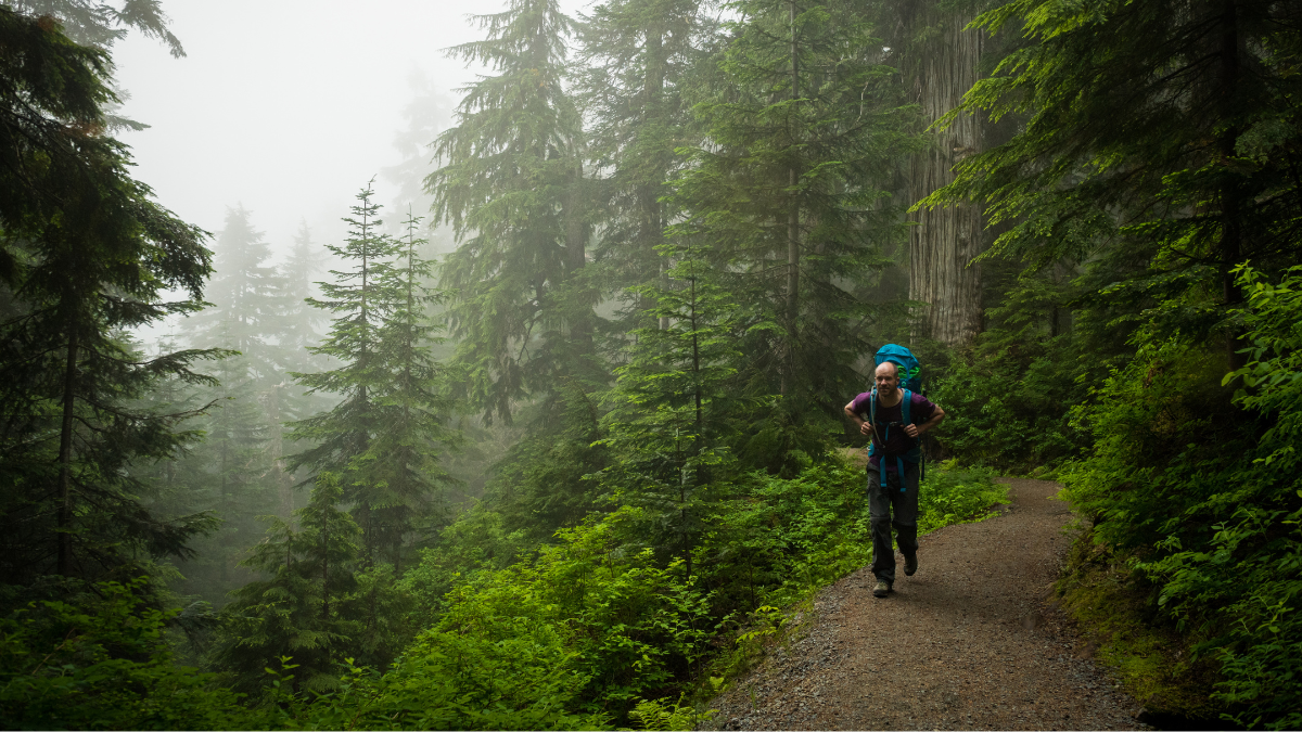 Randonnée en Solo : Explorez la Nature en Toute Sérénité