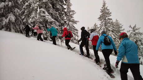 Bien choisir ses raquettes à neige : guide 2025