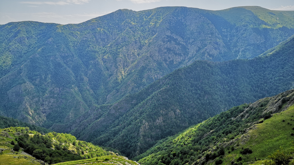 Respecter la nature : les bons réflexes outdoor à adopter